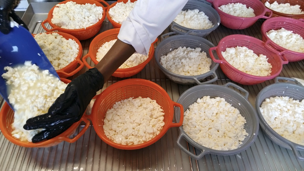 Égouttage caillé fabrication paneer